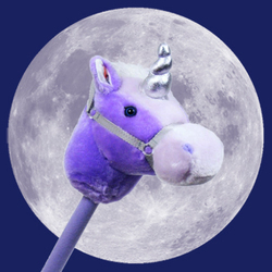 Moon Horse