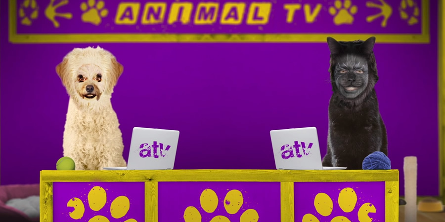 Animal TV - CBBC Sketch Show - British Comedy Guide